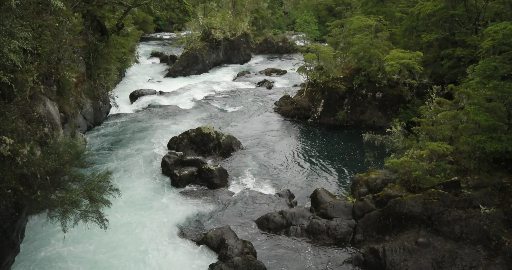 reservando-actividades-destinos-petrohue-2