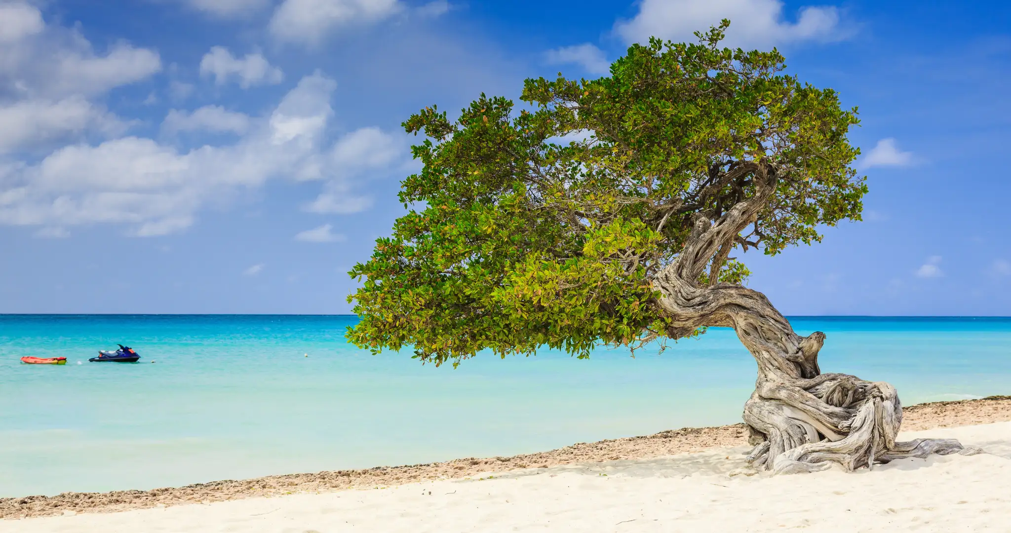 reservando-destinos-aruba-3