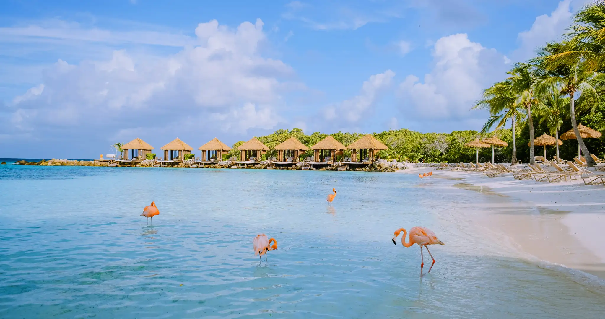 reservando-destinos-aruba-5