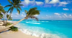 Playa del Carmen 2026 CUPOS CONFIRMADOS