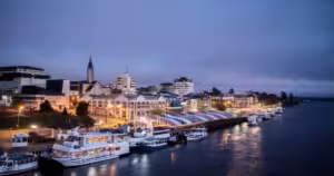 Valdivia LIGHT