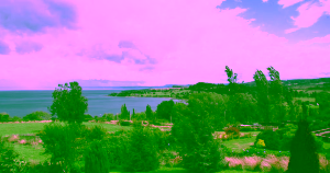 Futrono desde Puerto Varas