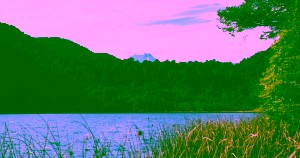 Puyehue desde Valdivia